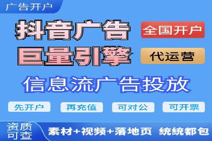 XX领域竞价广告的投放策略及效果展示